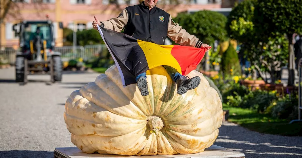 Kürbisausstellung Ludwigsburg 2024: Sieger wiegt 1152 Kilogramm