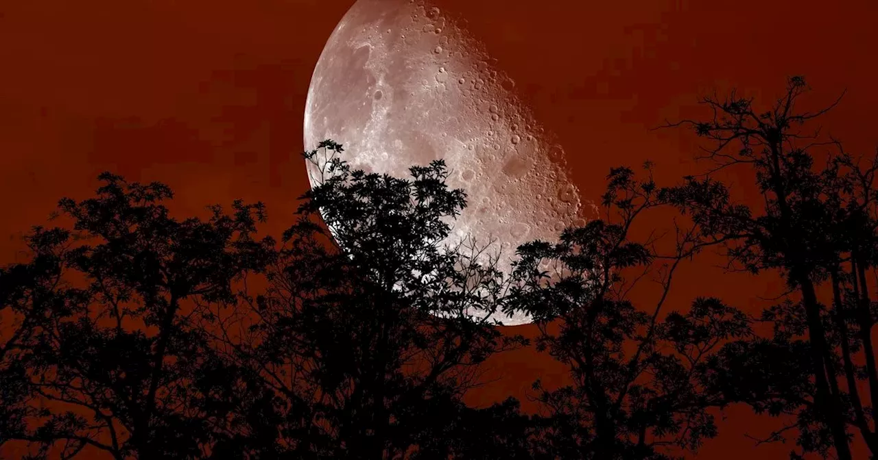 Hunter's Super Moon visible in Irish skies this week - how you can see it and how it gets its name