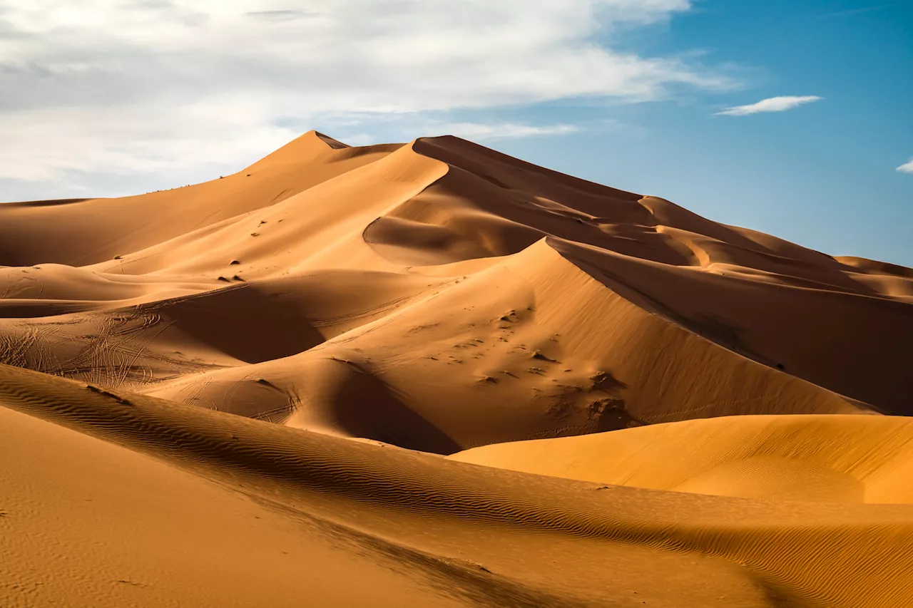 لأول مرة منذ 50 عاما.. أمطار غزيرة على الصحراء الكبرى في مشهد نادر للغاية