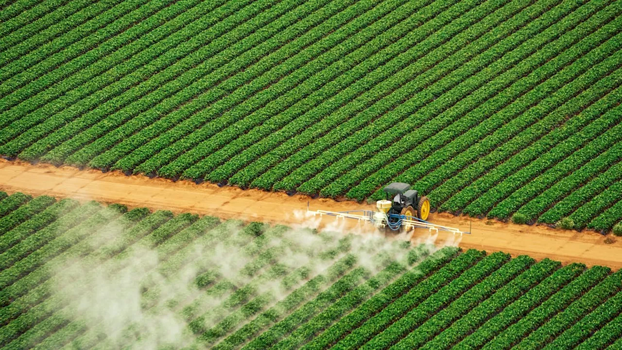 Cancers pédiatriques près de La Rochelle : les pesticides en cause ?