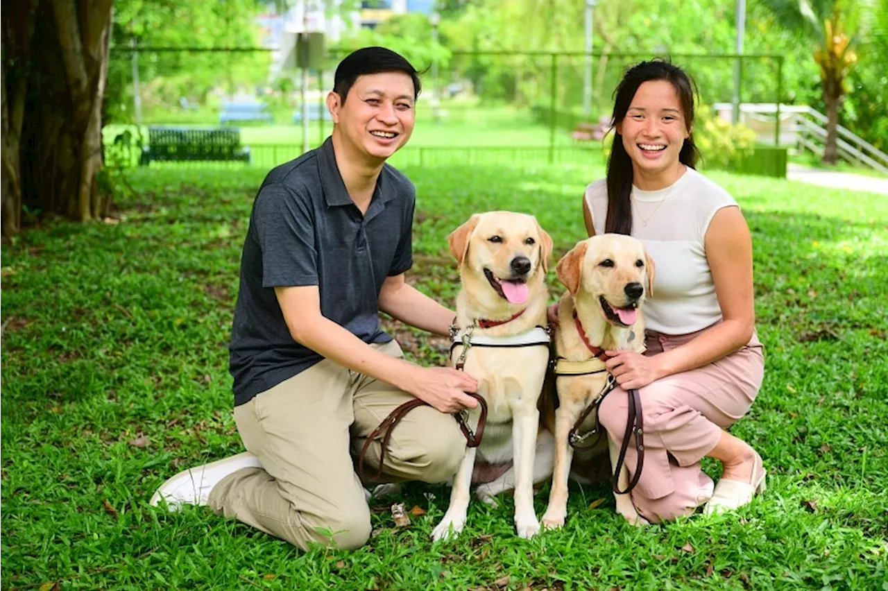 ‘I get rejected 70% of the time’: Visually impaired with guide dogs still face challenges