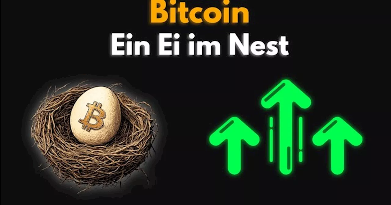 BITCOIN *To da moon* - Ein Ei im Nest