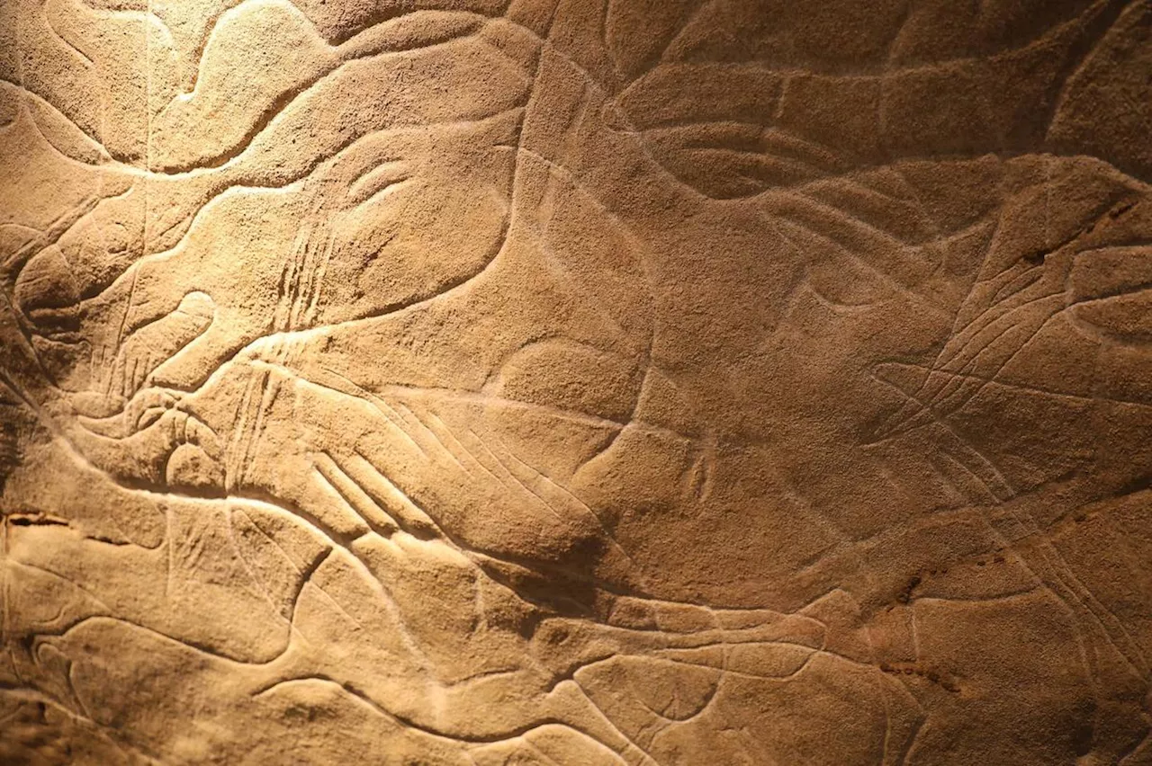 Vidéo. Dordogne : une exposition pour découvrir la fameuse grotte de Cussac a ouvert ses portes