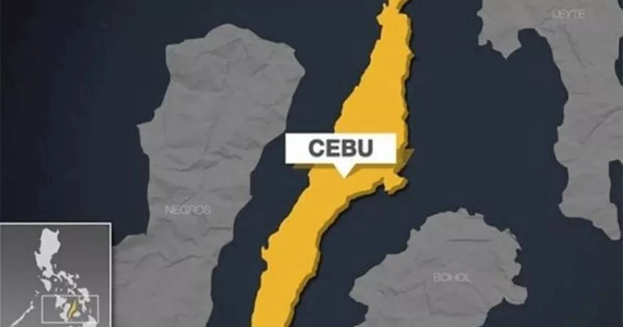 Family ties deepen in Cebu politics