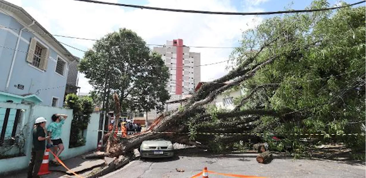 Ministro de Minas e Energia convoca empresas de energia para socorrer SP