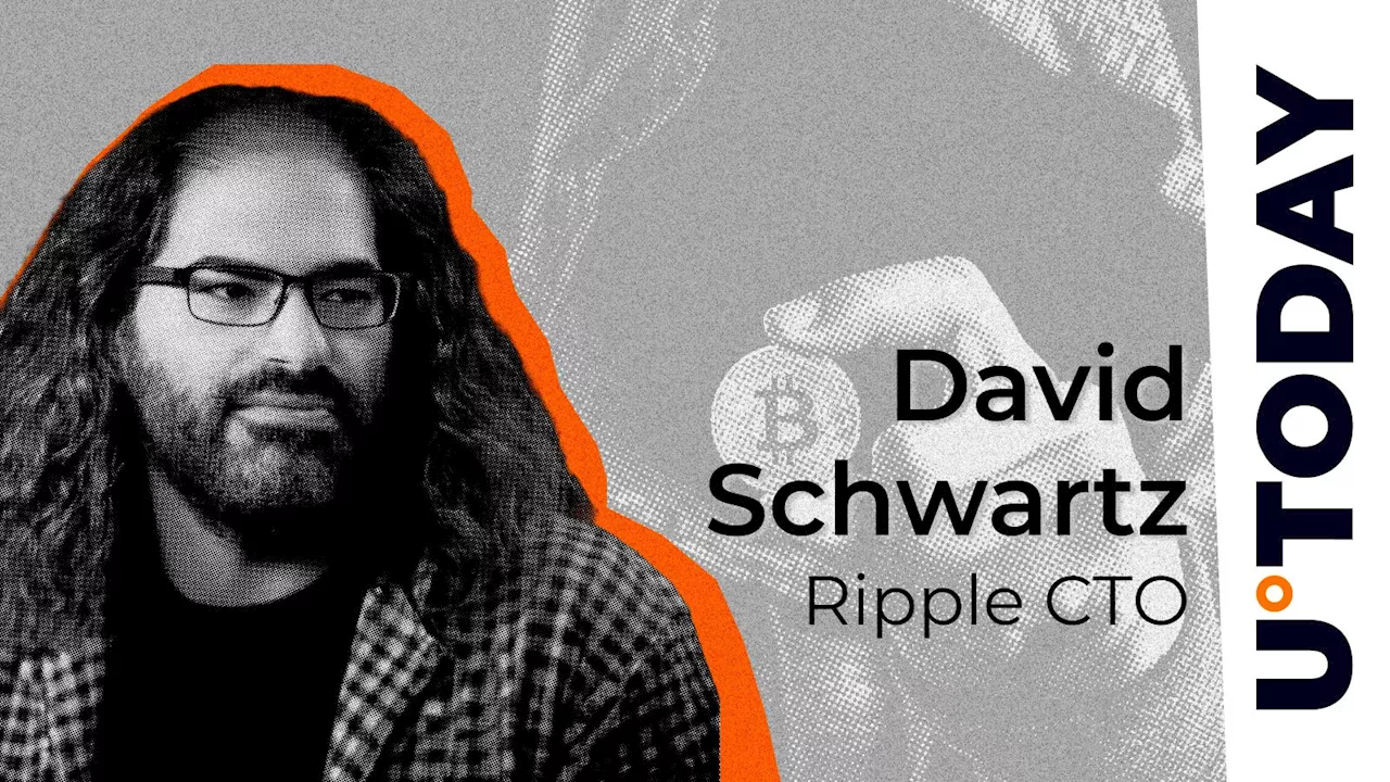 Ripple CTO: Nobody Cares What Satoshi Wanted for Bitcoin