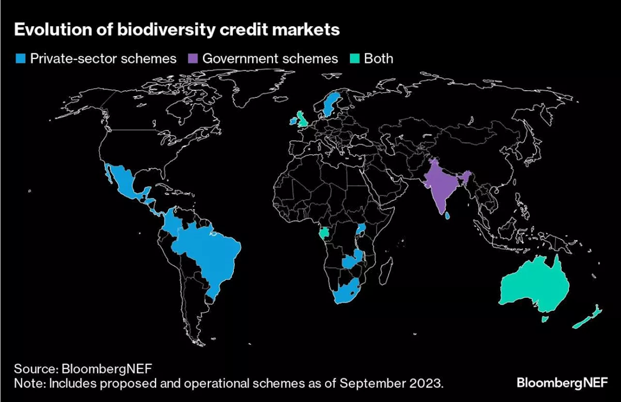 Global Banks Embark on a New Wave of Product Innovation Targeting Nature