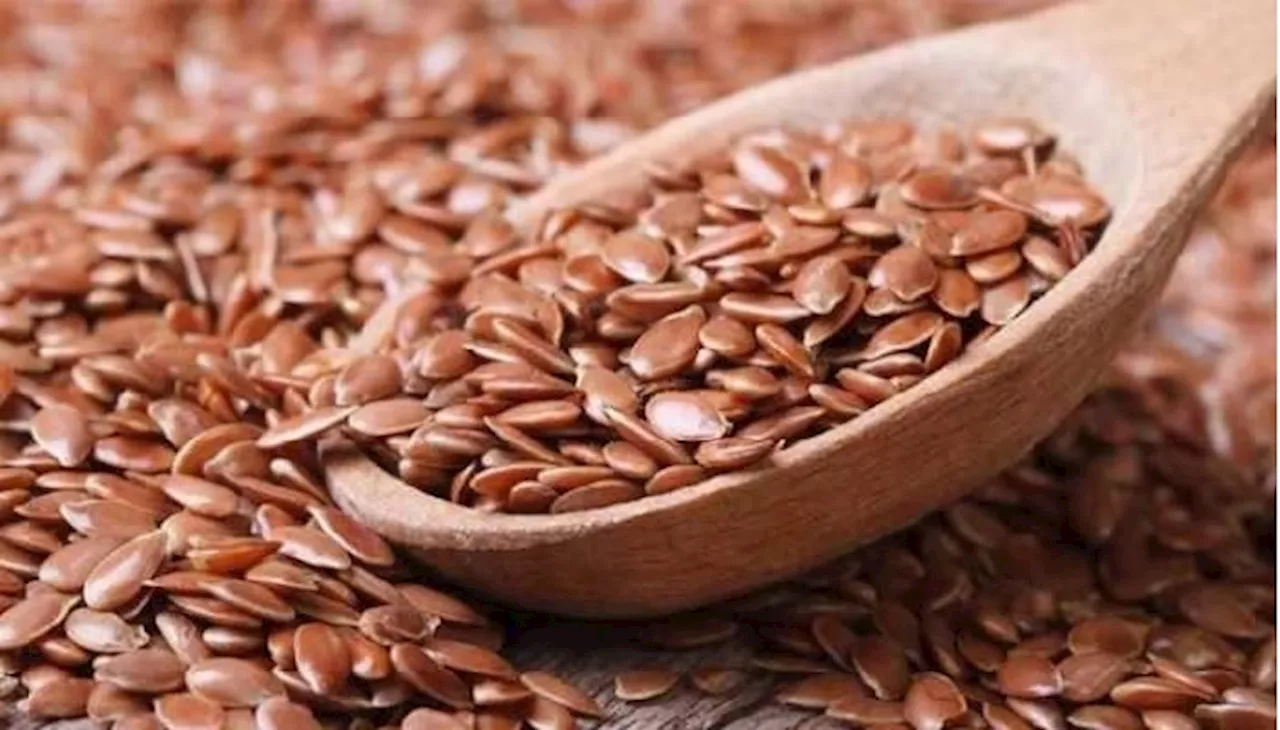 Flax Seeds Remedies: అవిశె గింజలు రోజూ క్రమం తప్పకుండా తింటే శరీరంలో ఎలాంటి మార్పులు వస్తాయో తెలుసా