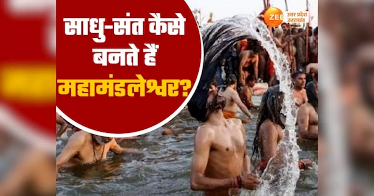 Prayagraj Mahakumbh: साधु-संत कैसे बनते हैं महामंडलेश्वर, प्रयागराज महाकुंभ में 71 दलित धर्माचार्यों को मिलेगी दीक्षा