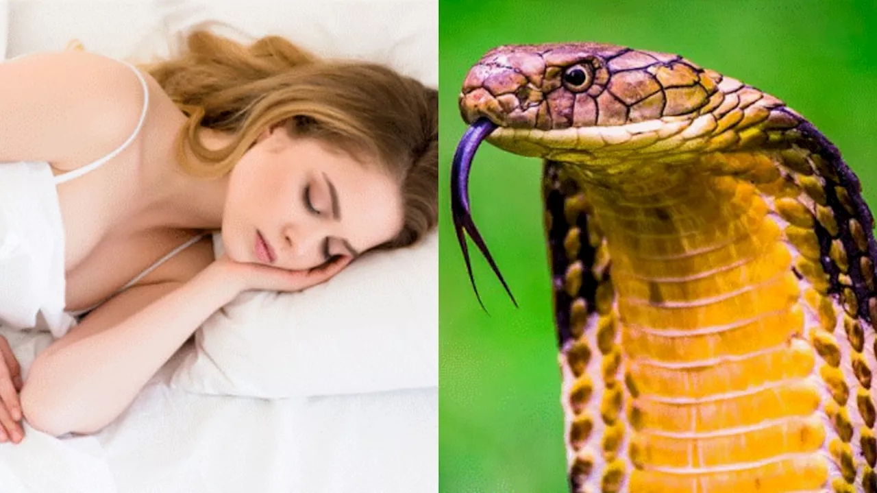 Snakes Dreams: కలలో అదేపనిగా పాములు కన్పిస్తున్నాయా..?.. వంద శాతం దాని అర్థం ఇదే.. పండితులు ఏం చెబుతున్నారంటే..?