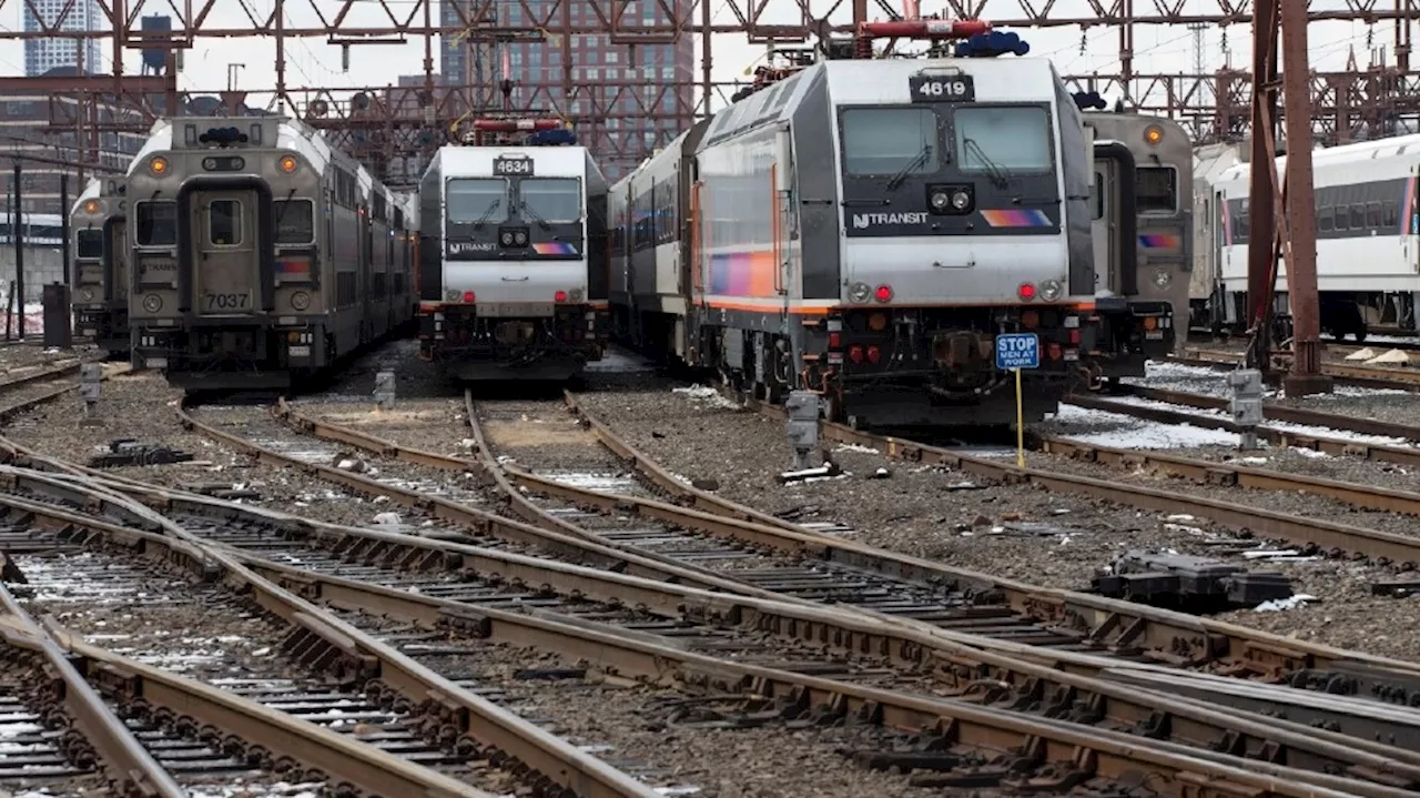 Operator killed, over a dozen passengers injured as New Jersey train hits tree