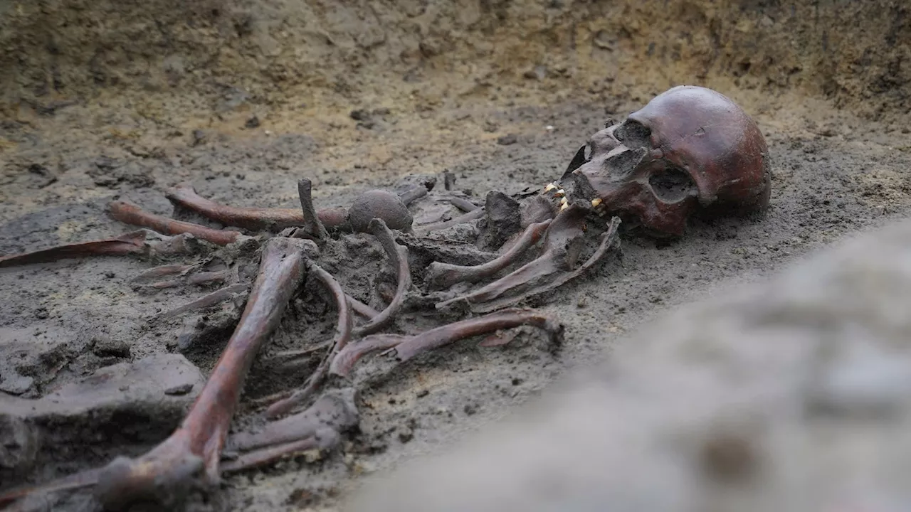 In Denmark, 50 well-preserved Viking Age skeletons have been unearthed