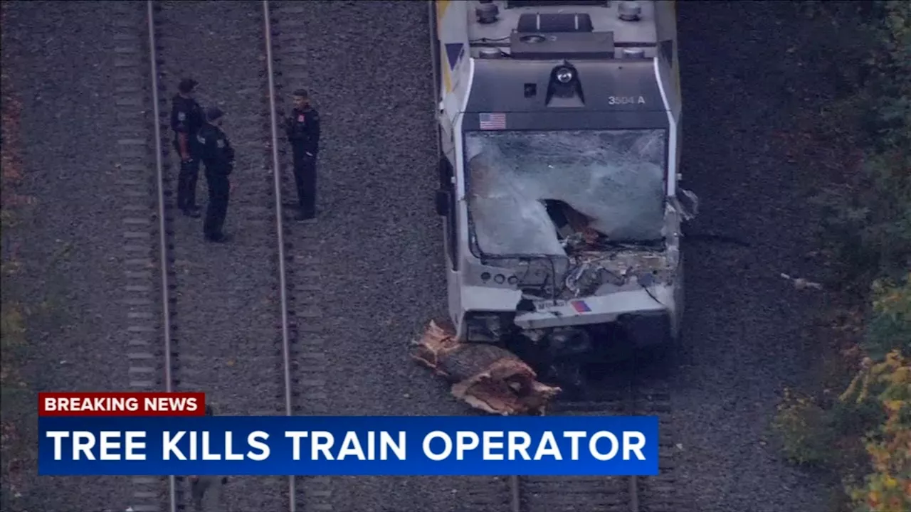Operator killed, 23 others injured after train strikes fallen tree in New Jersey