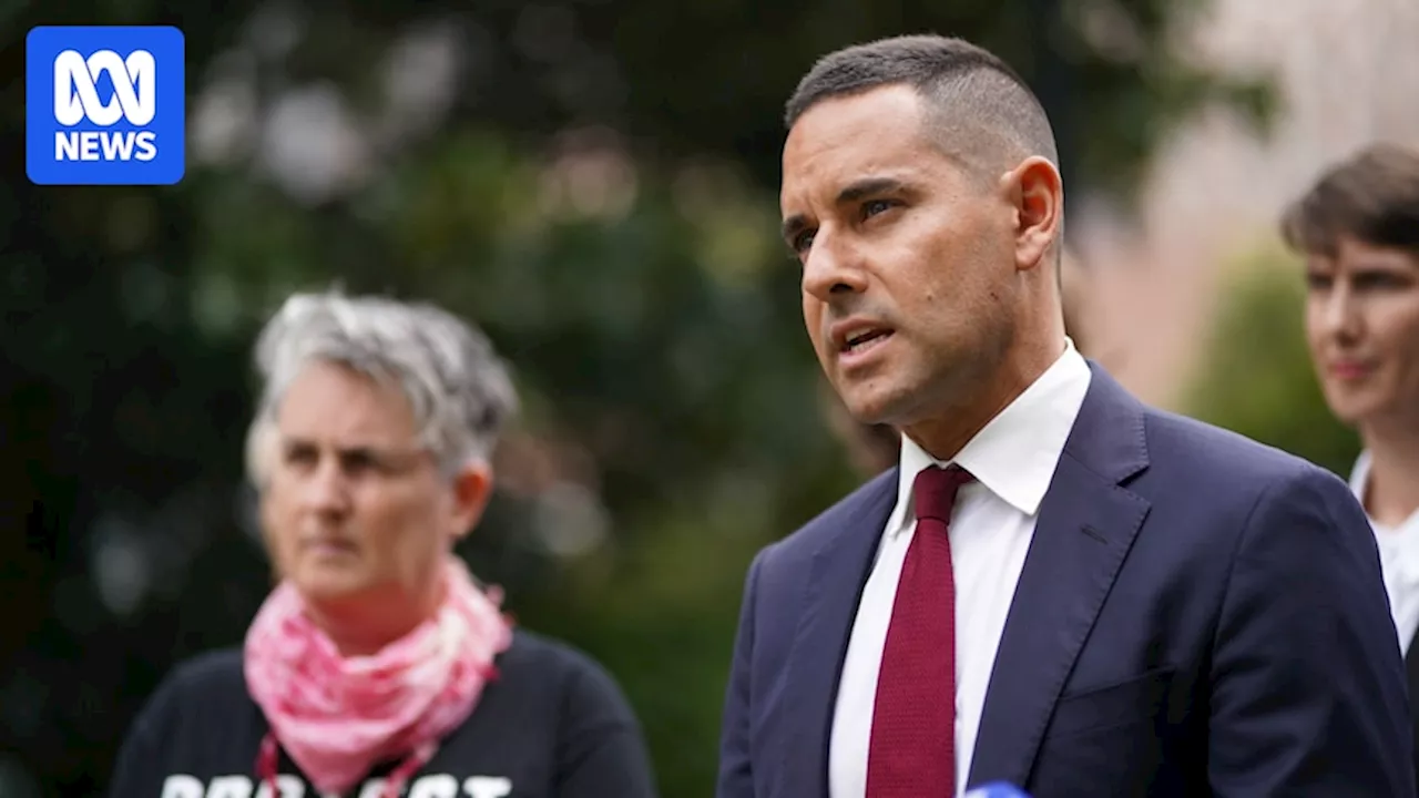 Alex Greenwich's equality bill has dropped protections for LGBTQIA+ teachers and students in NSW. So what's left of it?