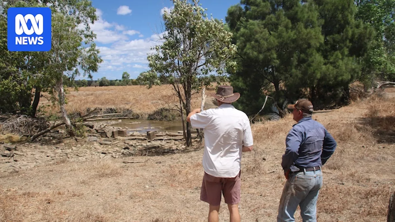 Northern Territory cattle station plans to fight erosion by rehydrating flood plains