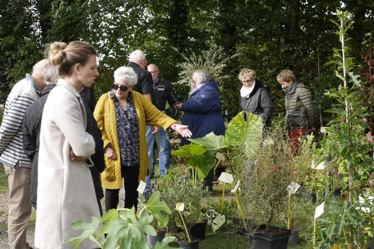 En deux jours, Plantes en fête a attiré 2 600 visiteurs à Domfront