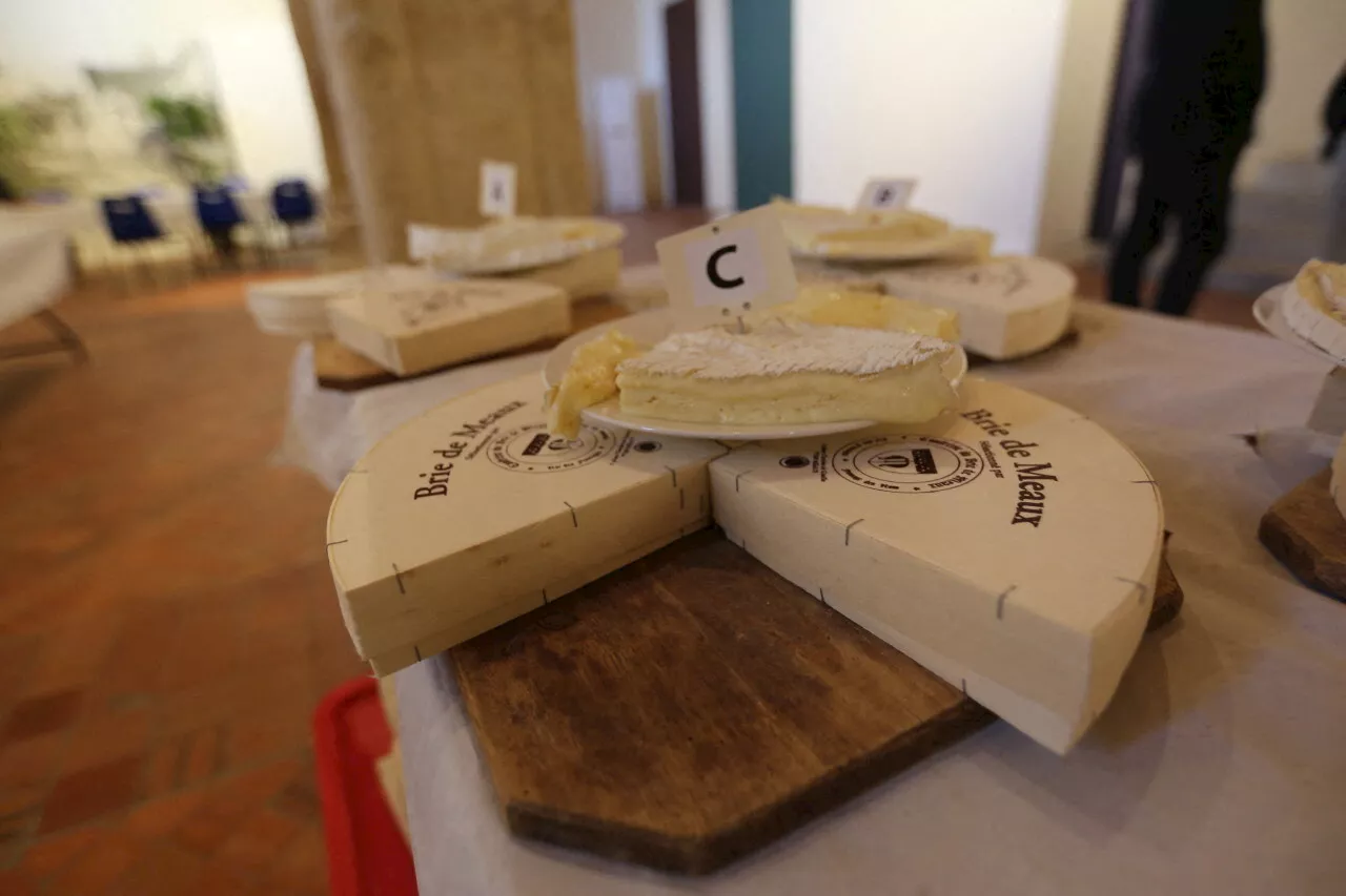 Seine-et-Marne : les grands gagnants du Brie Happy de Meaux sont connus