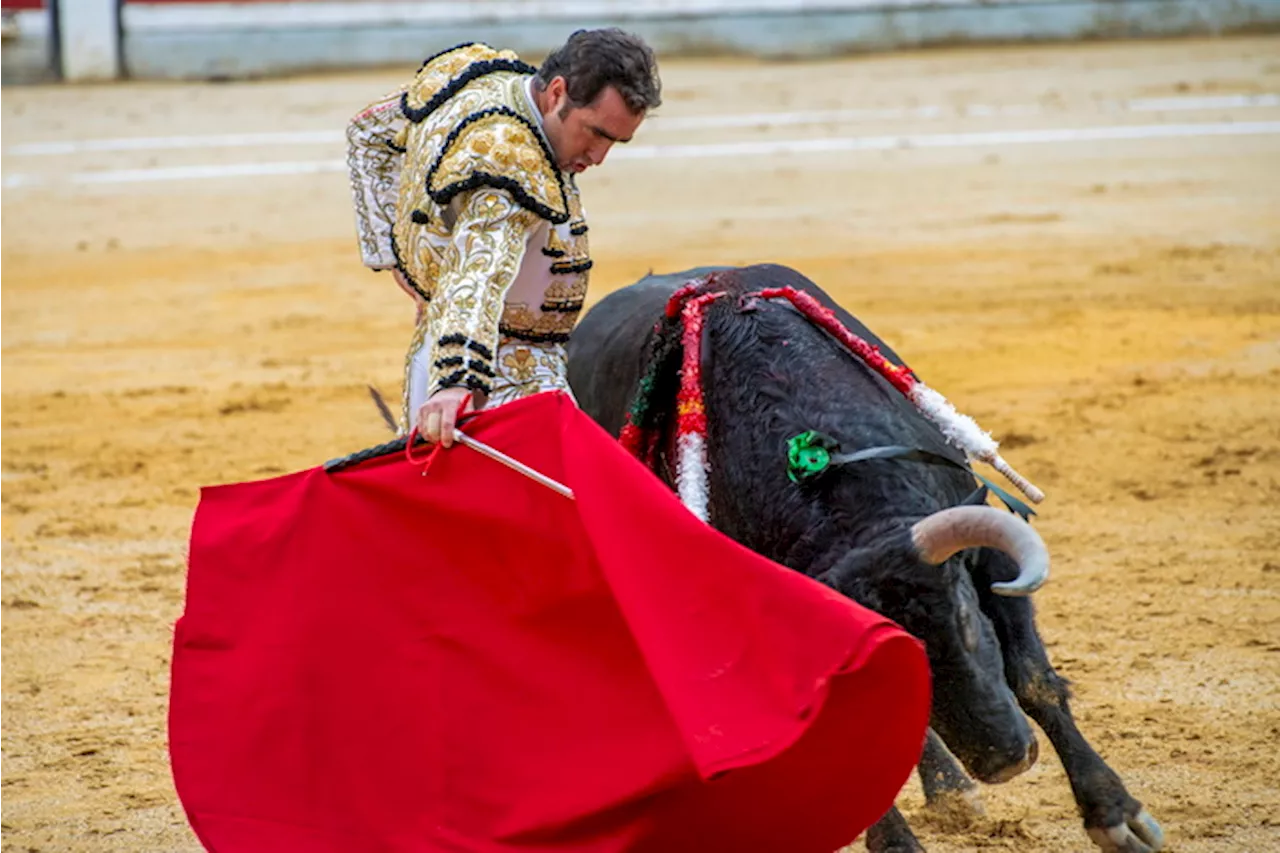 Il torero David Fandila durante una corrida in Andalusia