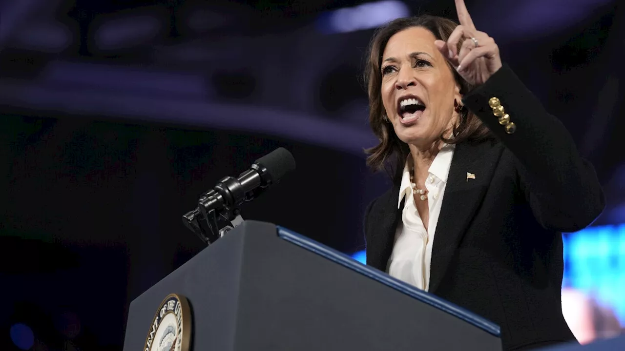 Election 2024: Harris is laying out a new plan to empower Black men