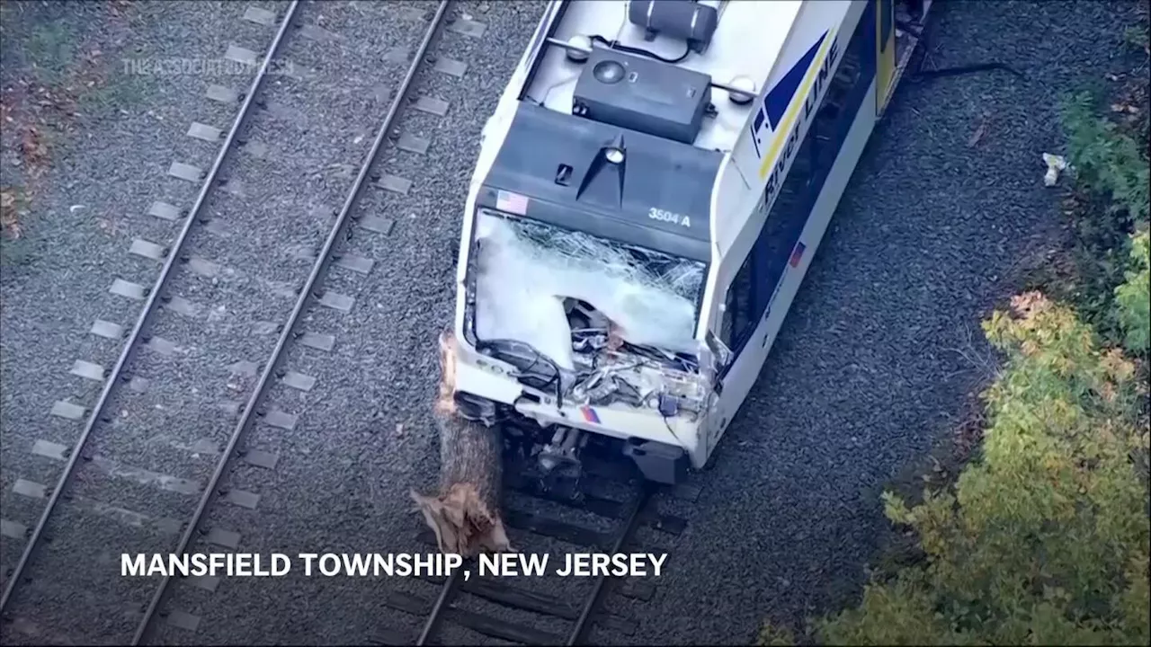 Operator dies and more than a dozen passengers hurt as commuter train hits tree