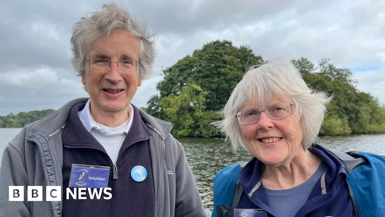 'Little old ladies get out of bed for the Ellesmere herons'