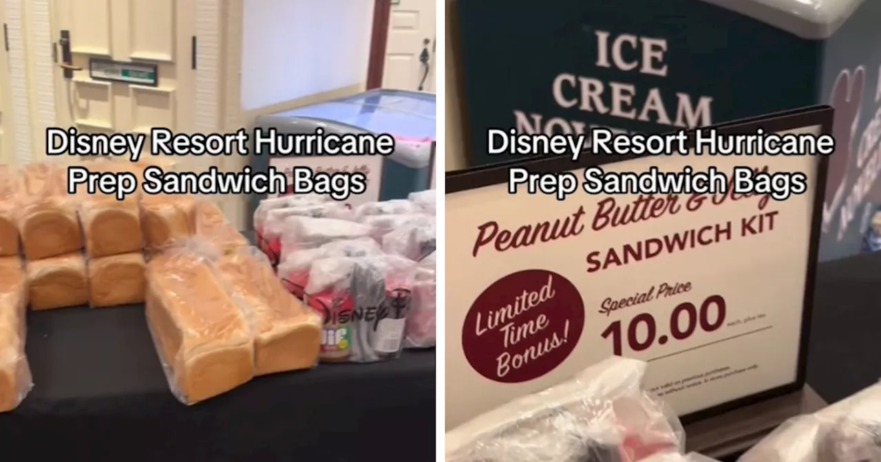 Disney Slammed After Charging $10 For Sandwich Kits To Stranded Guests During Hurricane Milton