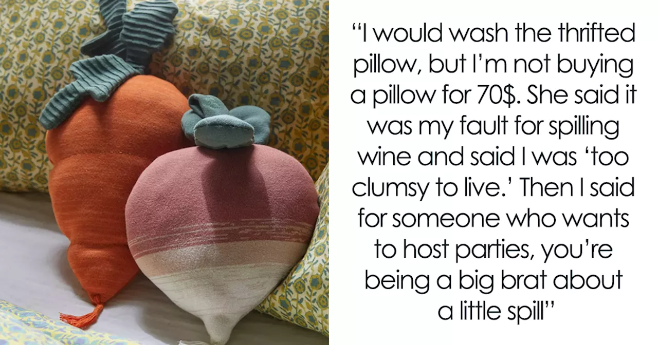 Lady Throws Housewarming Party, Friend Spills Wine On A Pillow And Replaces It With A Thrifted One