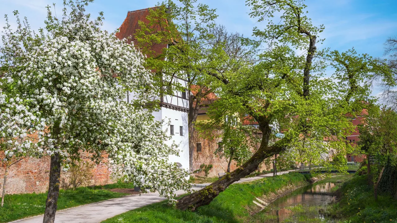 Offiziell: Donauwörth richtet 2028 Landesgartenschau aus