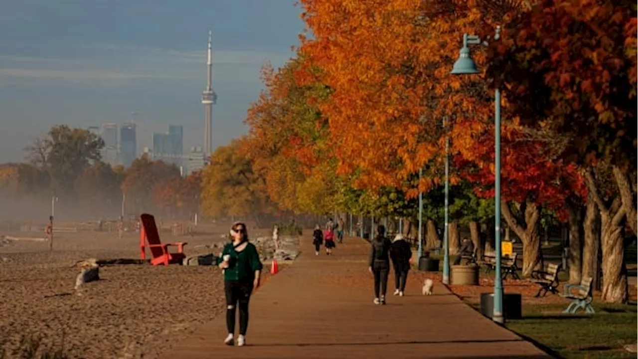 Warm fall leads to duller fall colours in Ontario