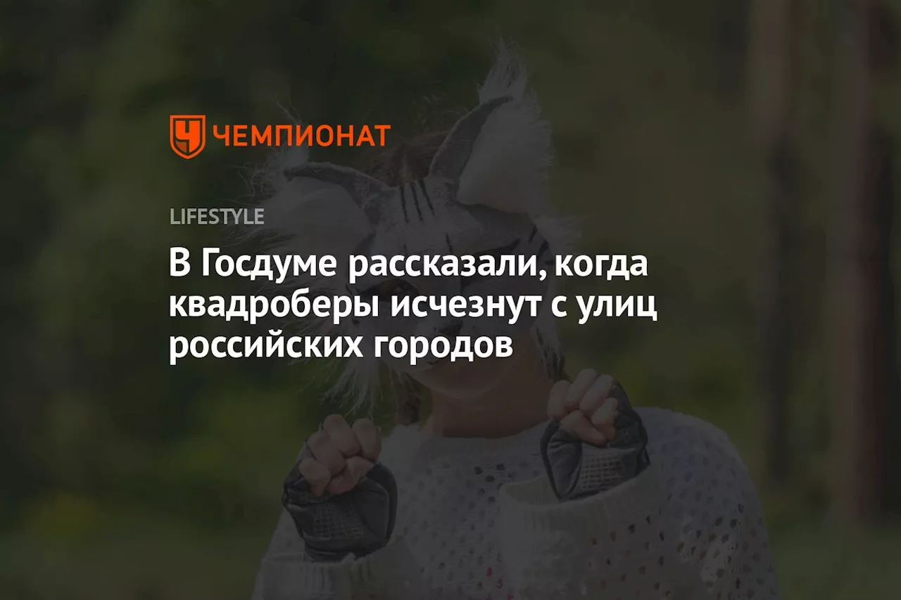 В Госдуме рассказали, когда квадроберы исчезнут с улиц российских городов