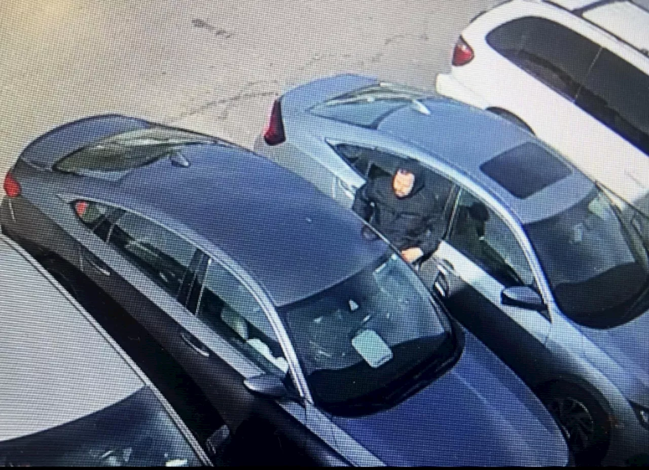 Wave of car break-ins hits Cleveland, as thieves target victims across the city