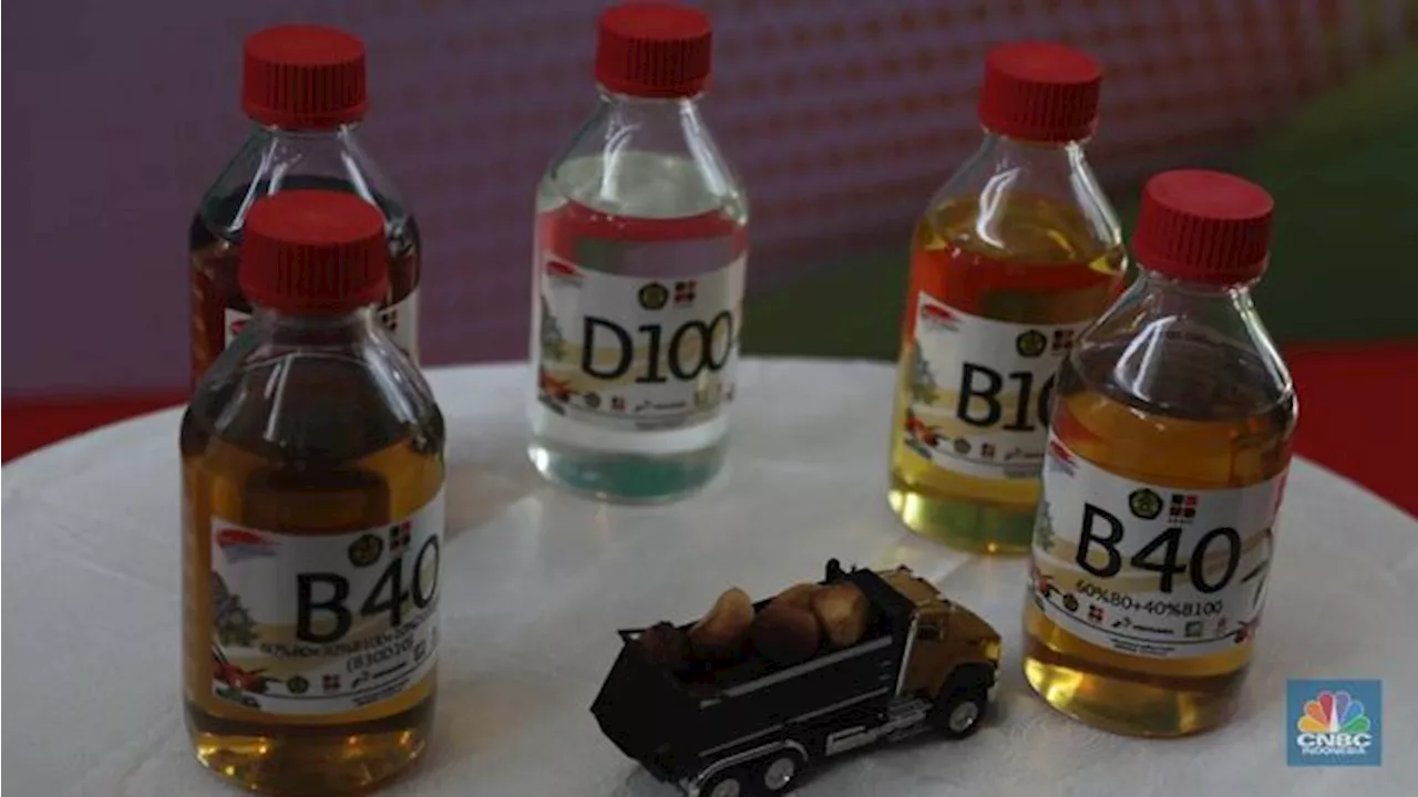 Deret Masalah Ini Jadi Tantangan RI Jor-joran Kembangkan Biodiesel