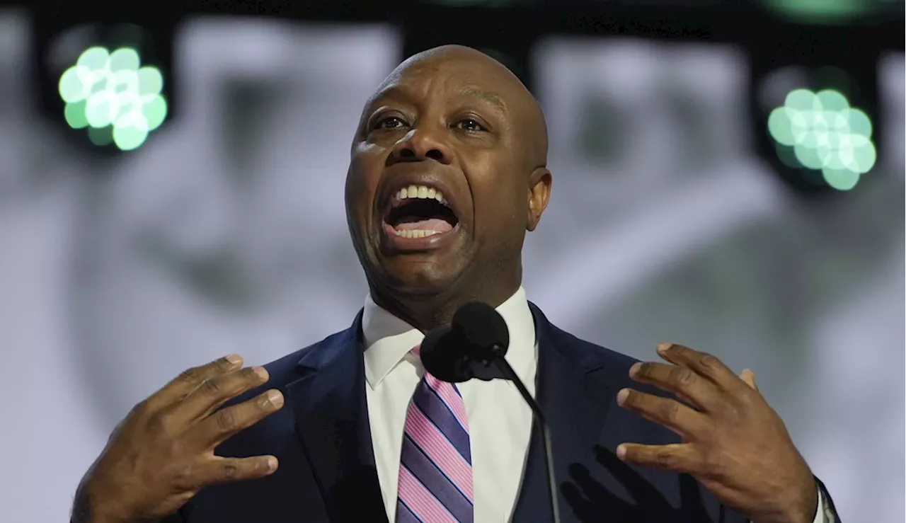 Tim Scott eyes run for chairman of National Republican Senatorial Committee