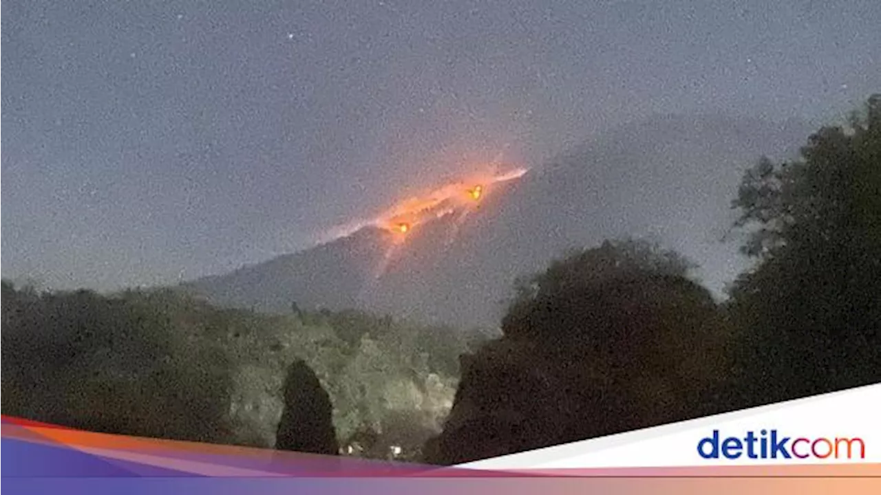 Hutan di Lereng Gunung Agung Terbakar