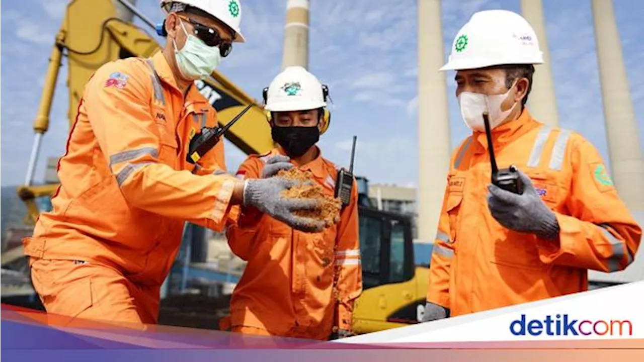 Cara RI Kejar Energi Bersih, Pakai Biomassa Jadi Bahan Bakar PLTU