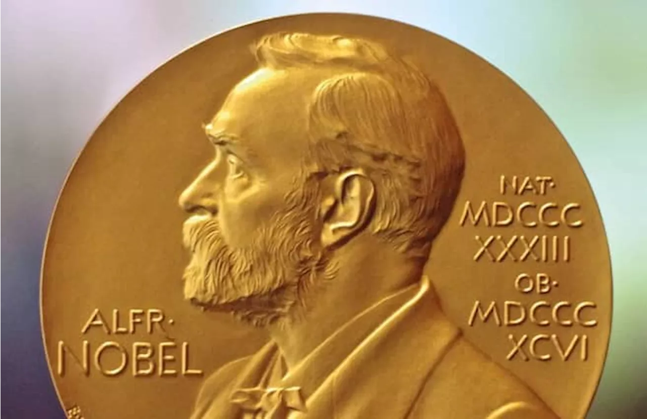 Acemoglu, Johnson y Robinson: los tres ganadores del Premio Nobel de Economía 2024