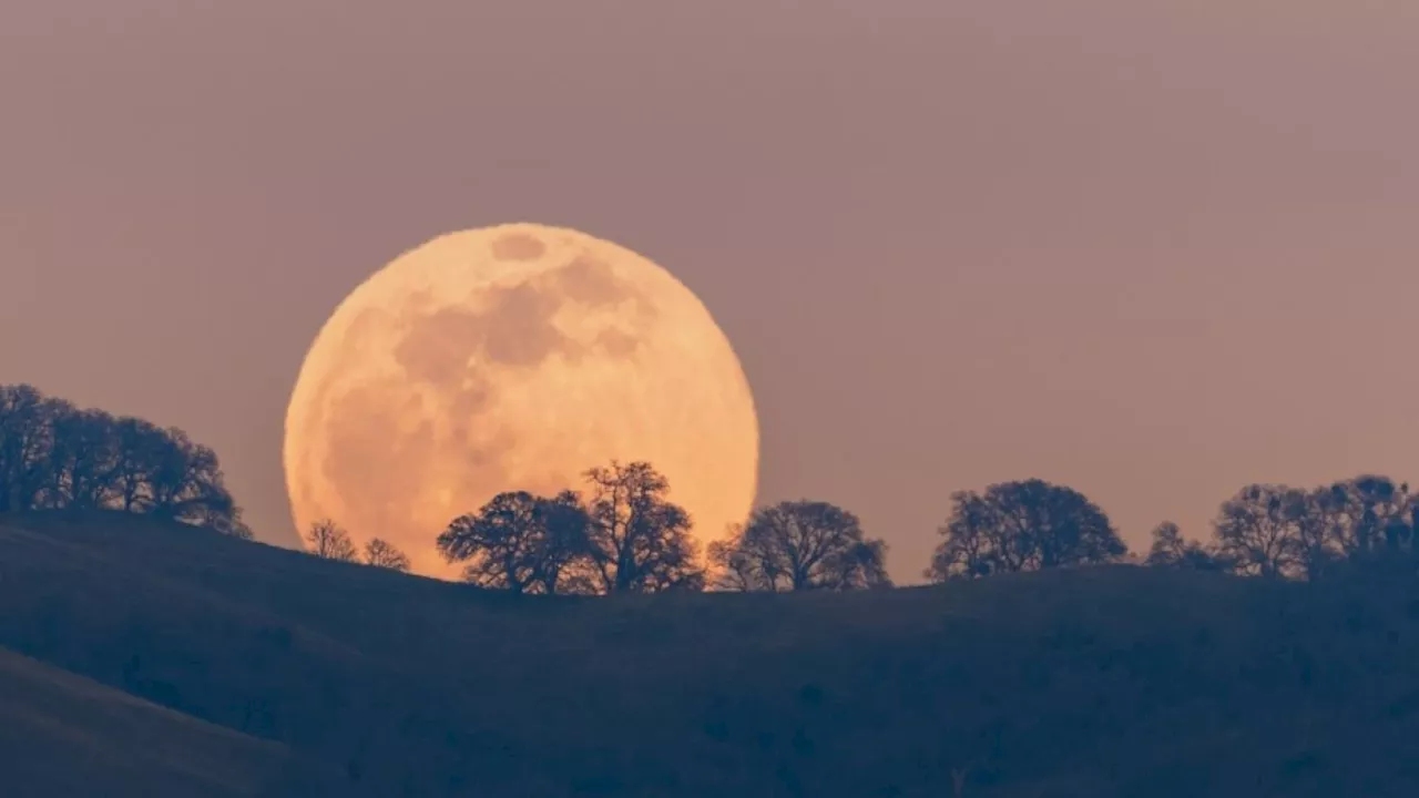 ¿Cuándo ver la superluna más brillante del 2024 en Estados Unidos?