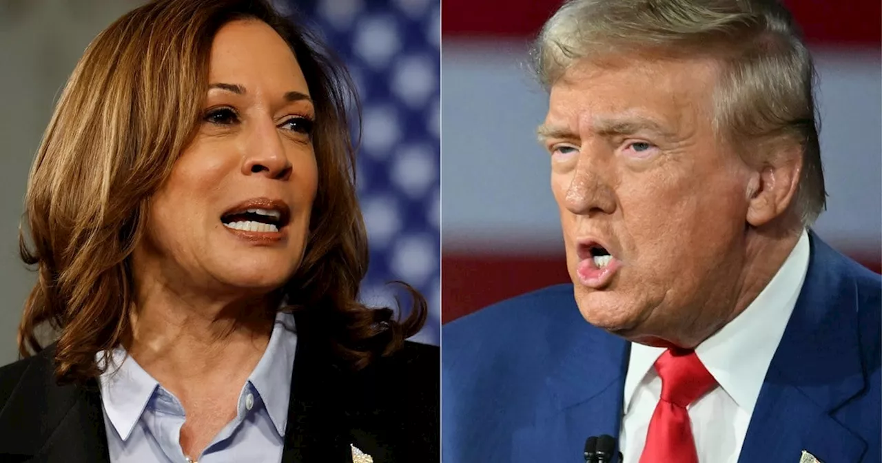 Harris, Trump seek advantage in knife-edge election battle