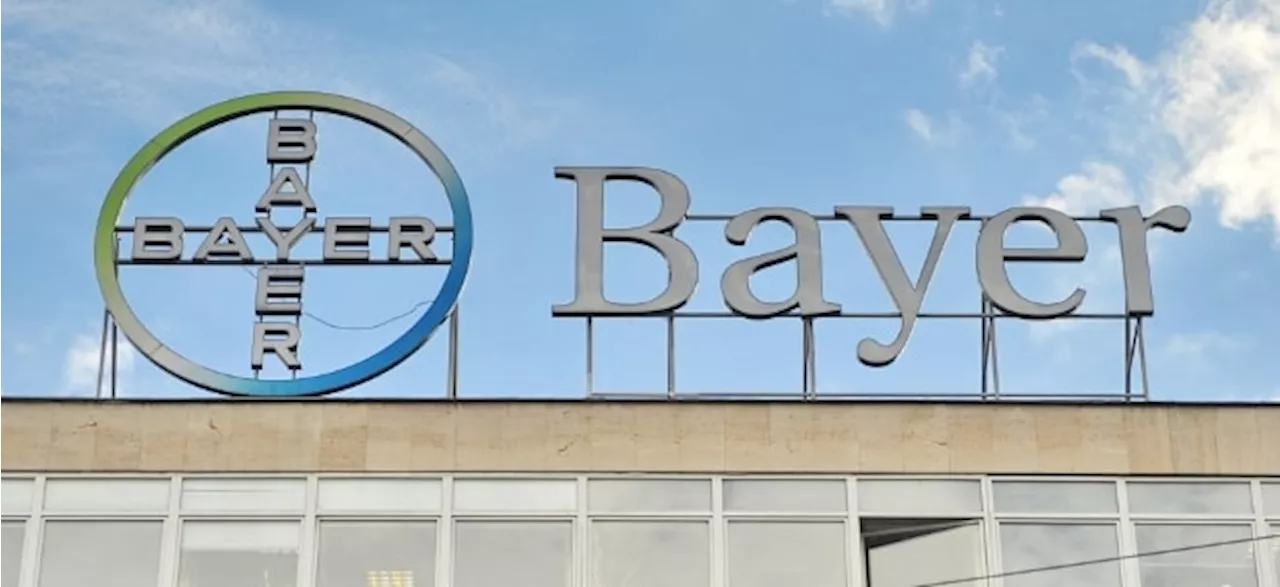 Bayer-Umbau: Effizienz statt Hierarchie