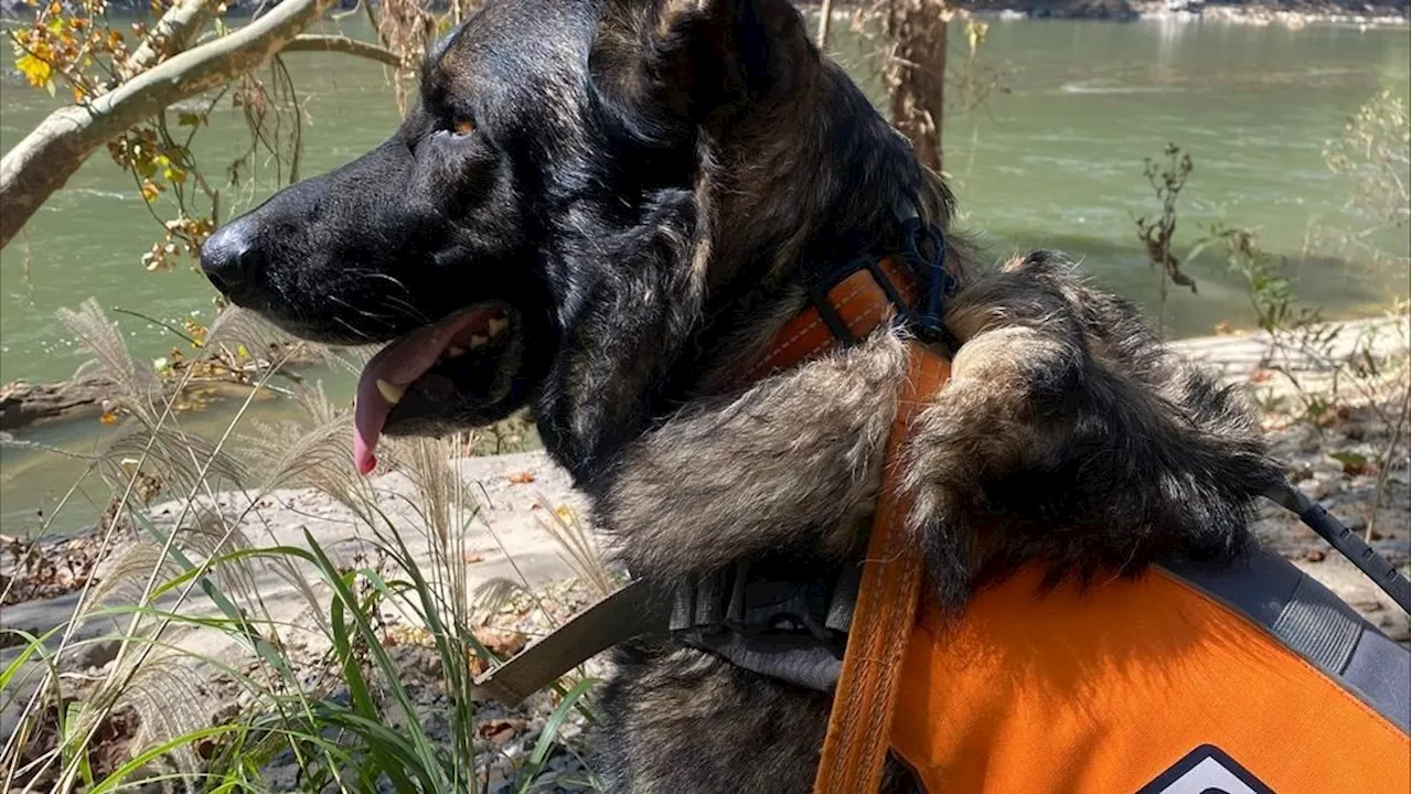 Ohio K9 team returns after aiding hurricane recovery in North Carolina