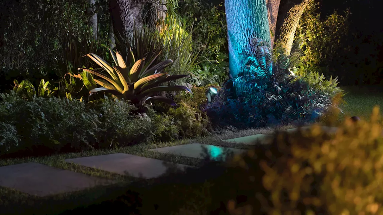 Pour illuminer votre jardin, le spot connecté Philips Hue Lily XL est -25 % sur Amazon