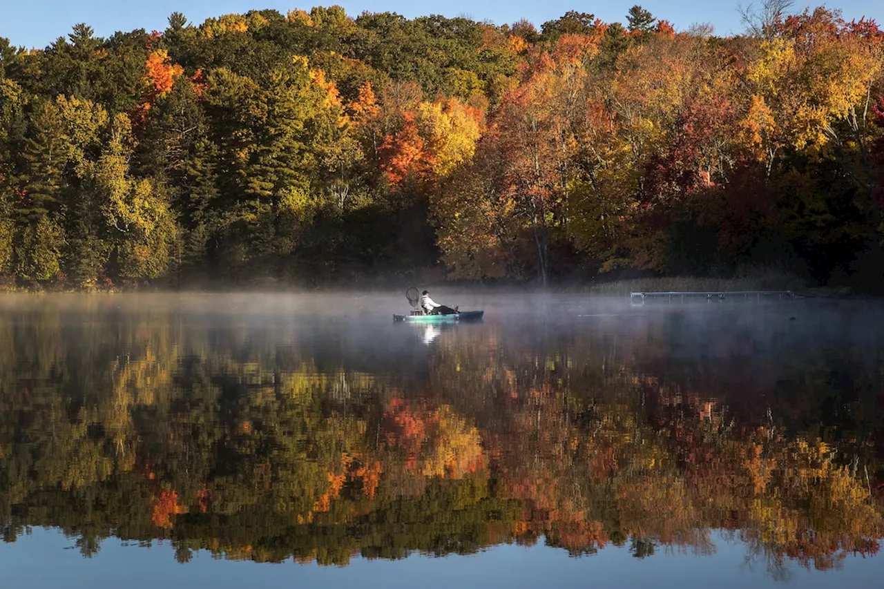 Warmer than normal temperatures lead to duller fall colours in Ontario