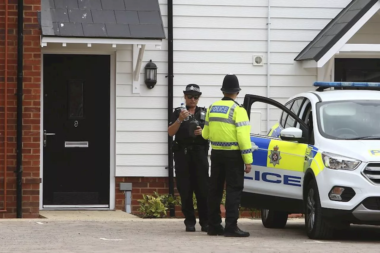 British woman caught in assassination ‘crossfire,’ Novichok death hearing hears