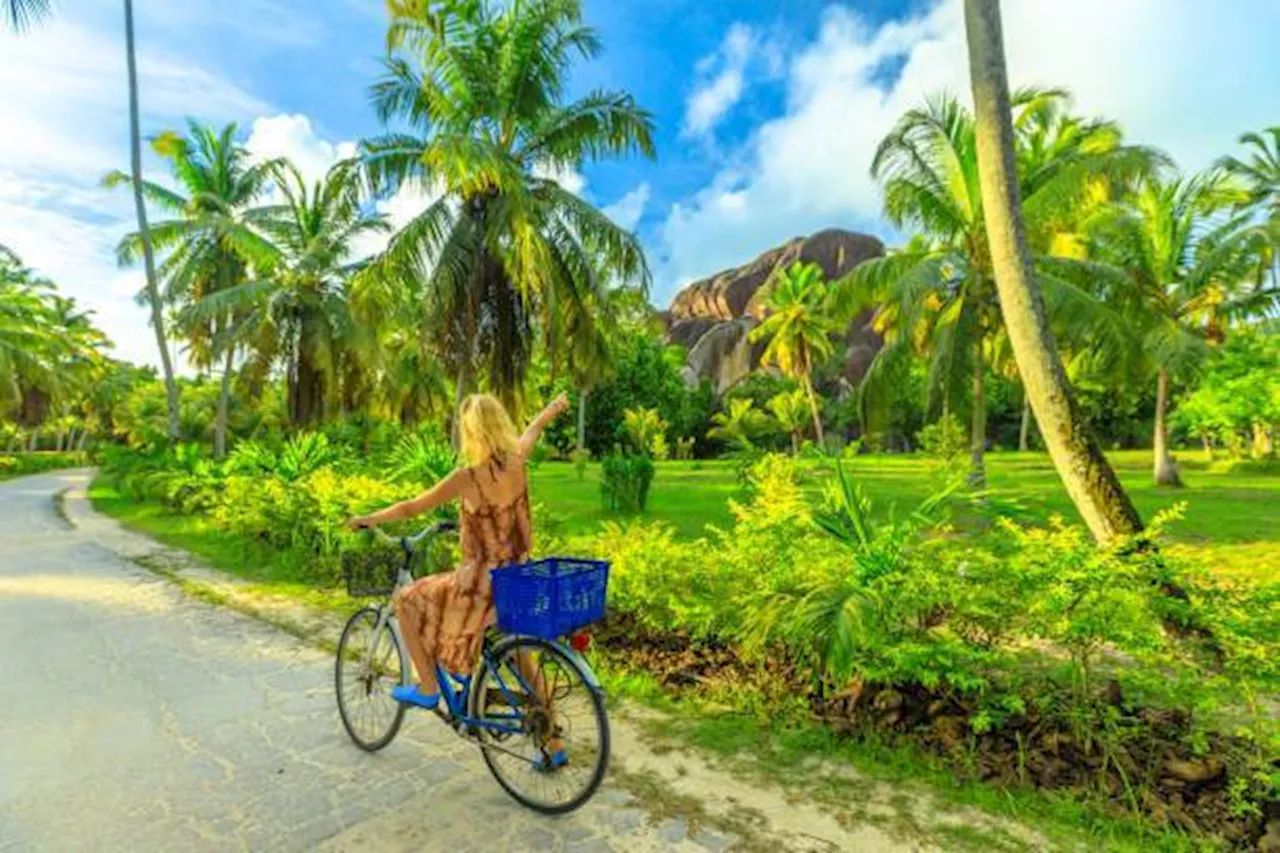 L'aventure au cœur des Seychelles : des activités entre terre et océan