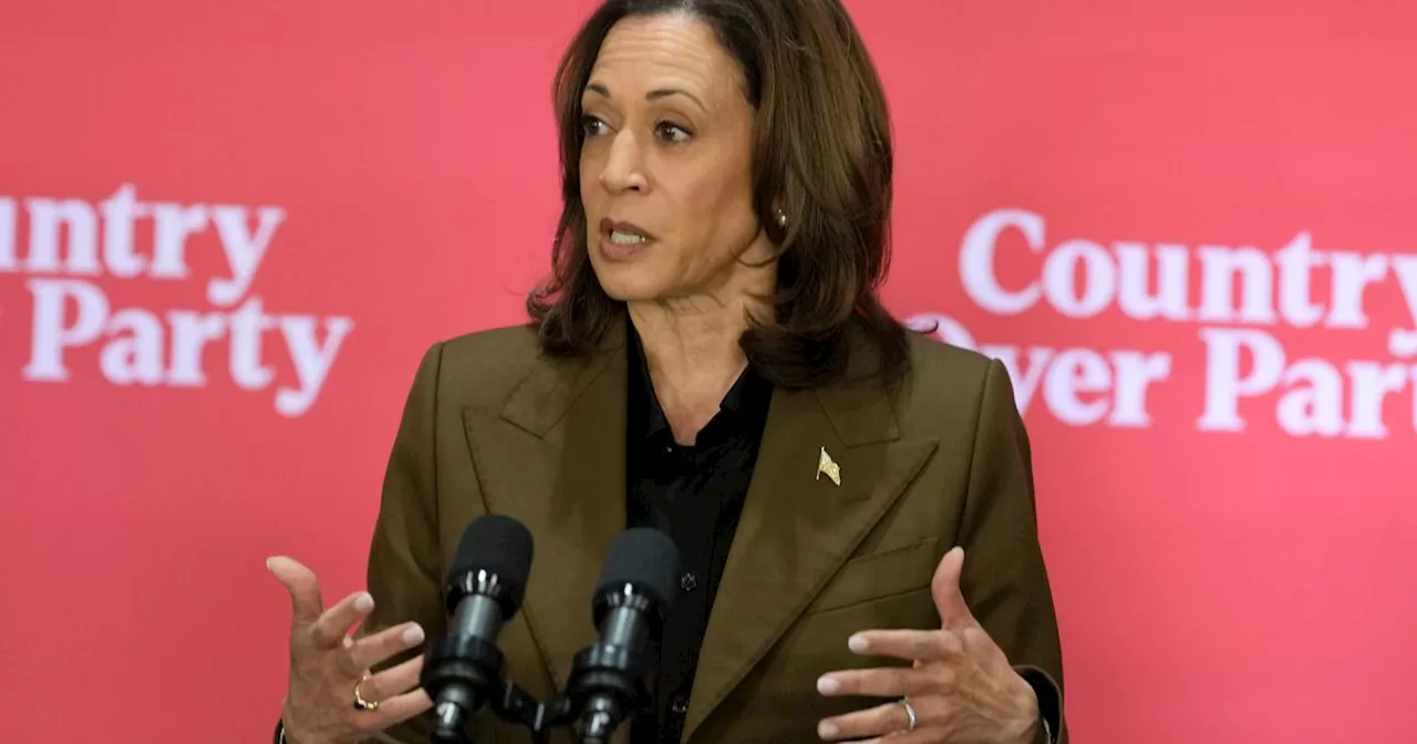 Kamala Harris New Economic Agenda Reveals What She Would Do To Help Black Men