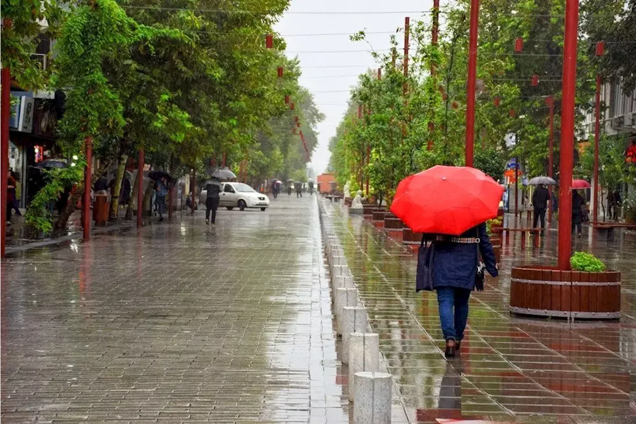 بارش پراکنده باران در ۴ استان