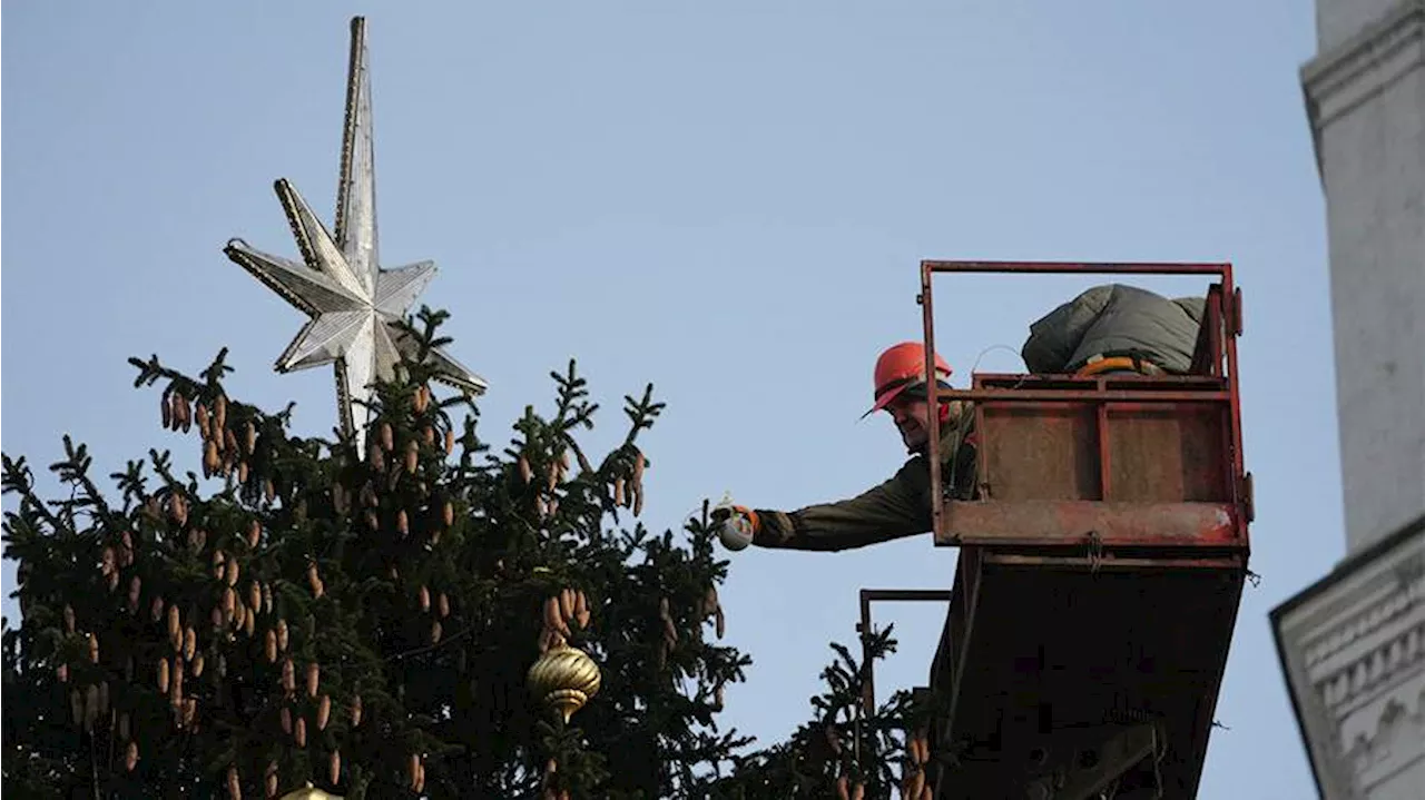 Стали известны запланированные траты властей городов РФ на новогодние елки