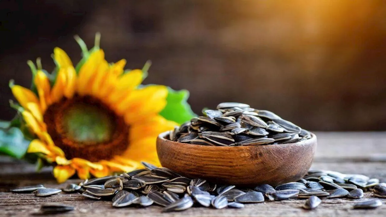 सेहत के लिए गुणों का भंडार है Sunflower Seeds, रोजाना खाने से मिलेंगे 8 हैरतंगेज फायदे