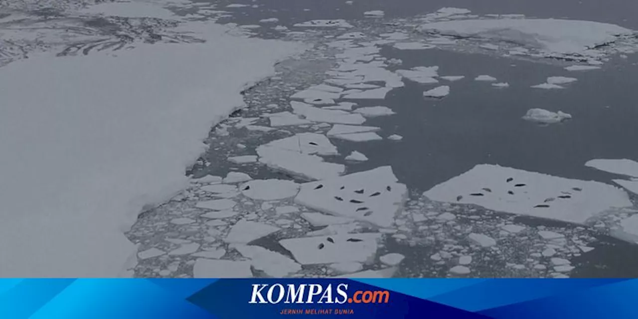 Air Gletser di Alaska Jernih, Apakah Aman Diminum?