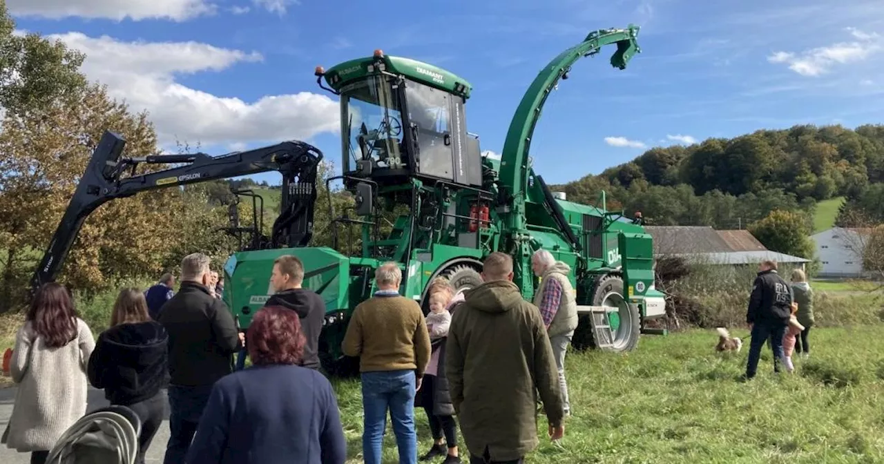 Burgenland als Vorreiter bei erneuerbarer Energie